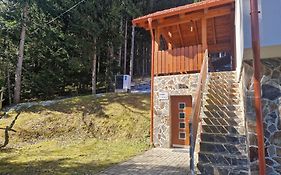 Apartma Ribnica Na Pohorju